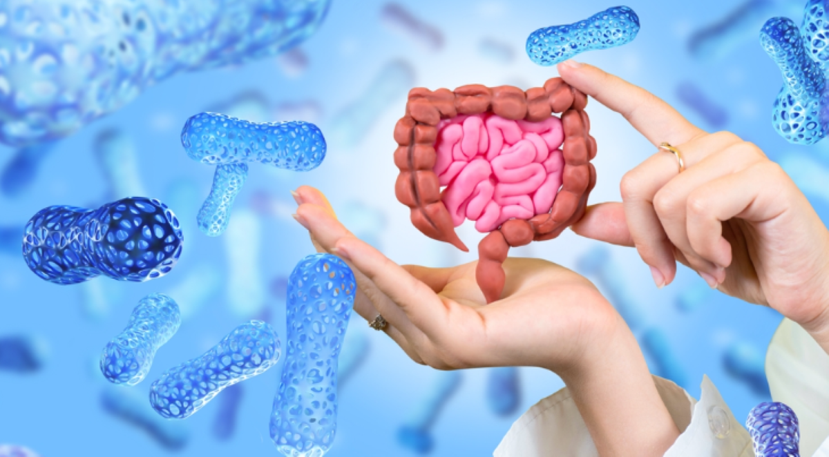 Understanding the Intricacies of Gut Health: A Comprehensive Guide